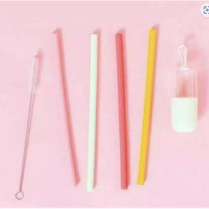 Chic & Tonic 4 Silicone Straws, Cleaner/Case